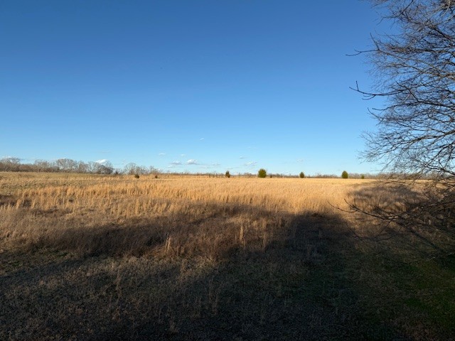 2327 Ovoca Rd Property Photo 4