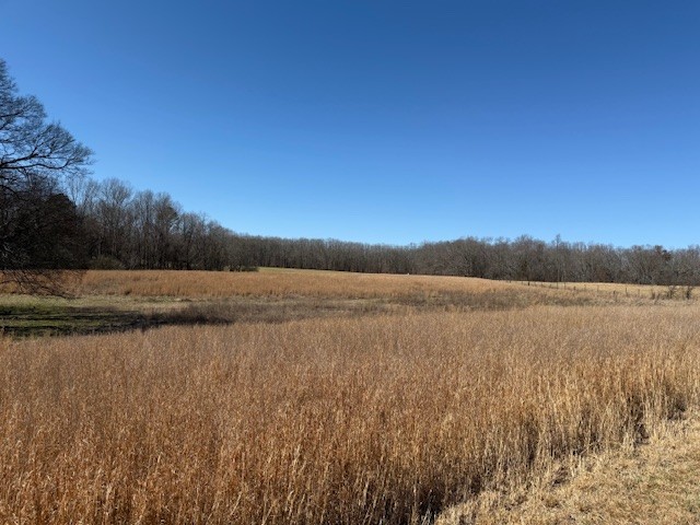 2327 Ovoca Rd Property Photo 19