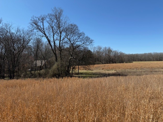 2327 Ovoca Rd Property Photo 22