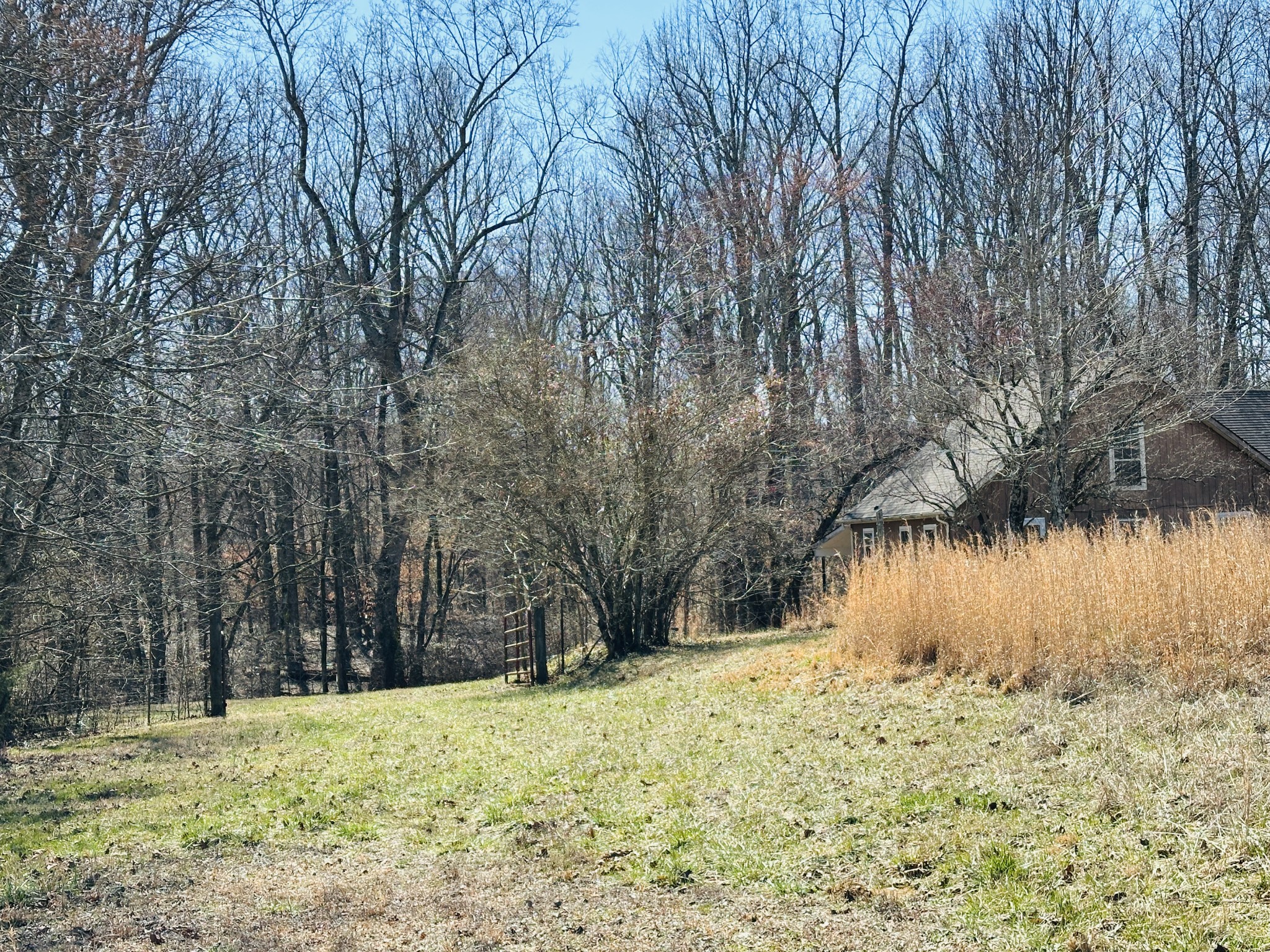 2327 Ovoca Rd Property Photo 23