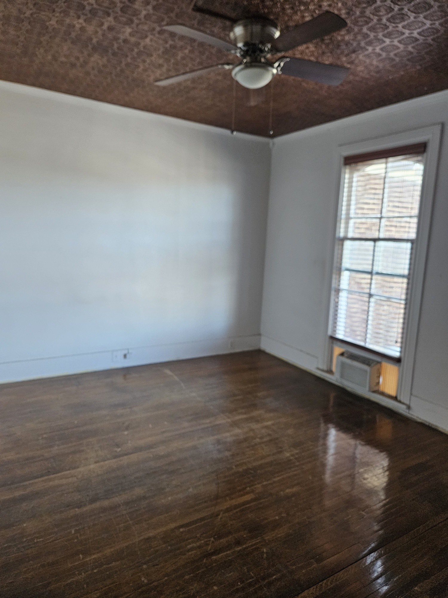 142 5th Ave, N Property Photo 4