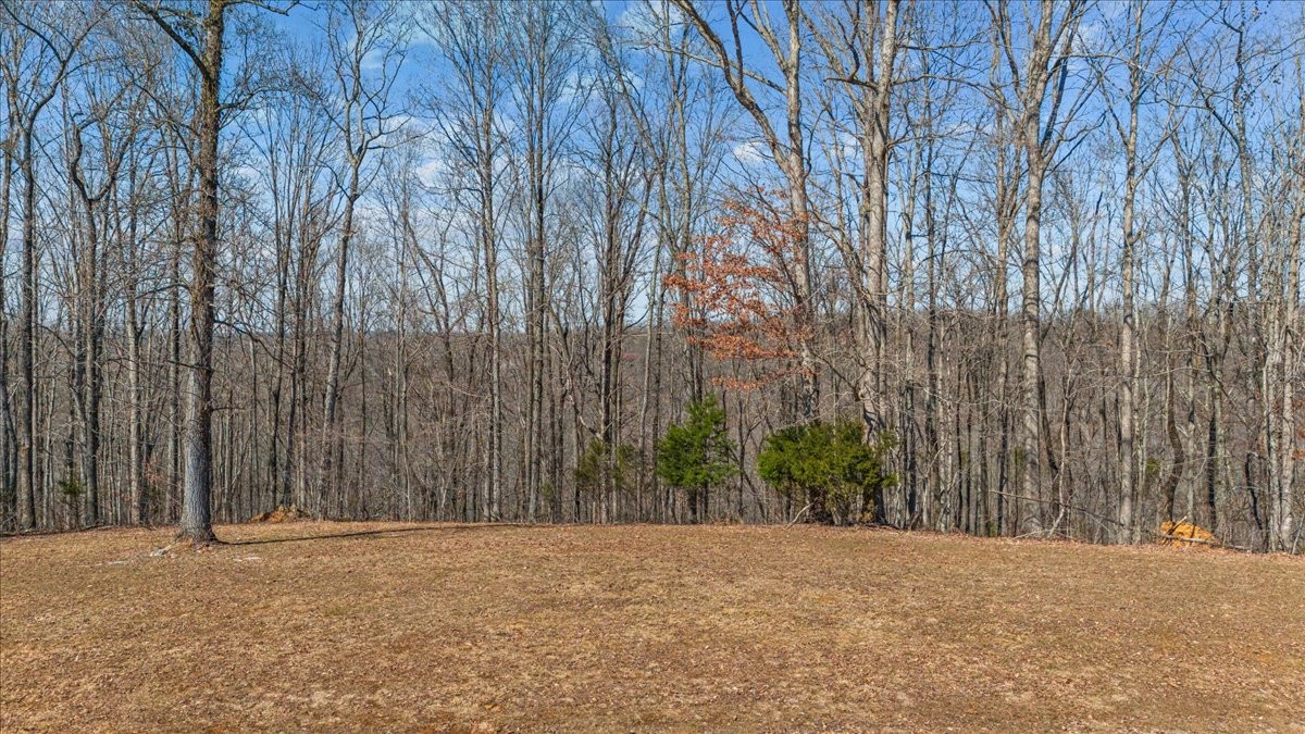 0 Rustic Valley Drive Property Photo 1