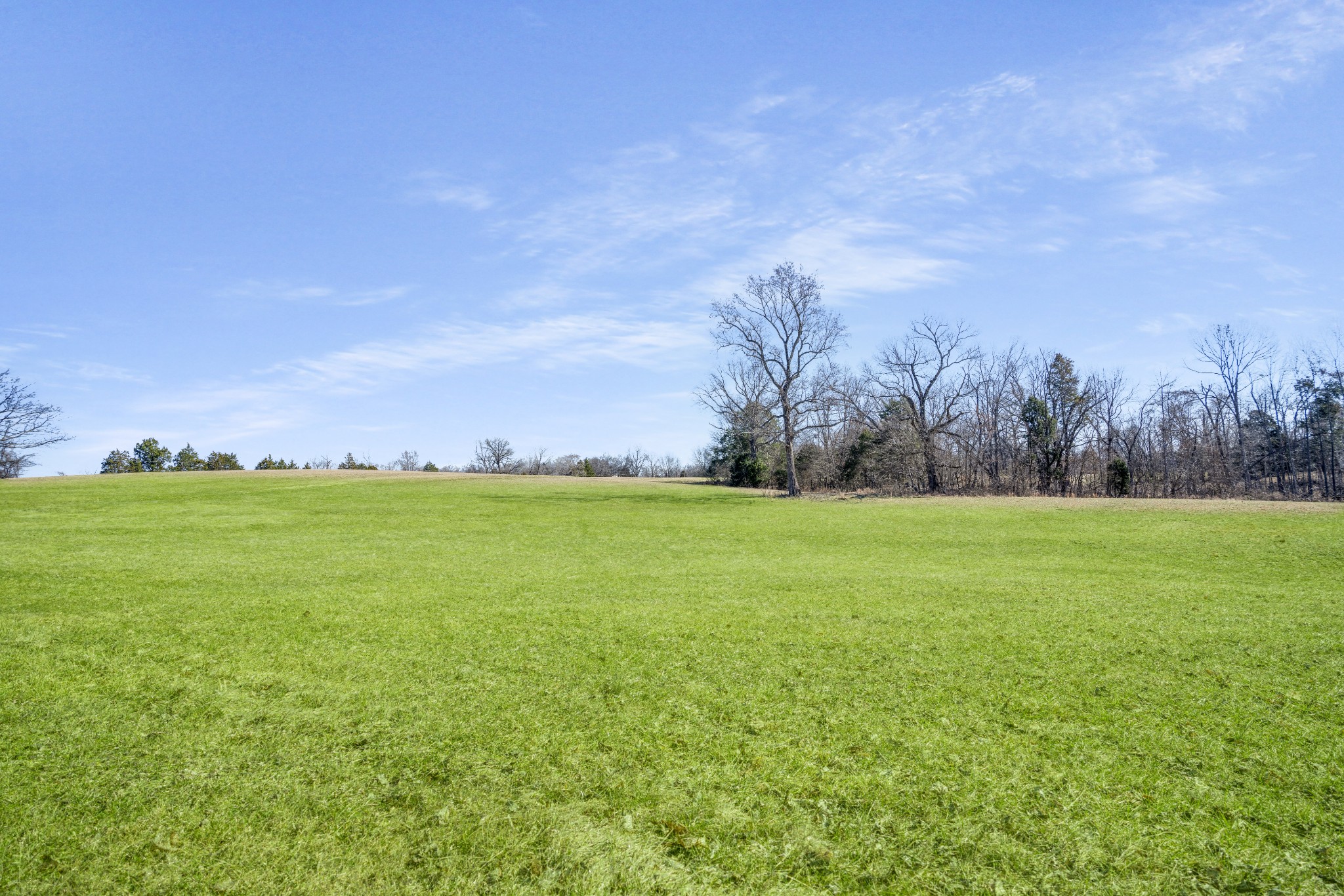 1212 Ussery Rd, S Property Photo 6
