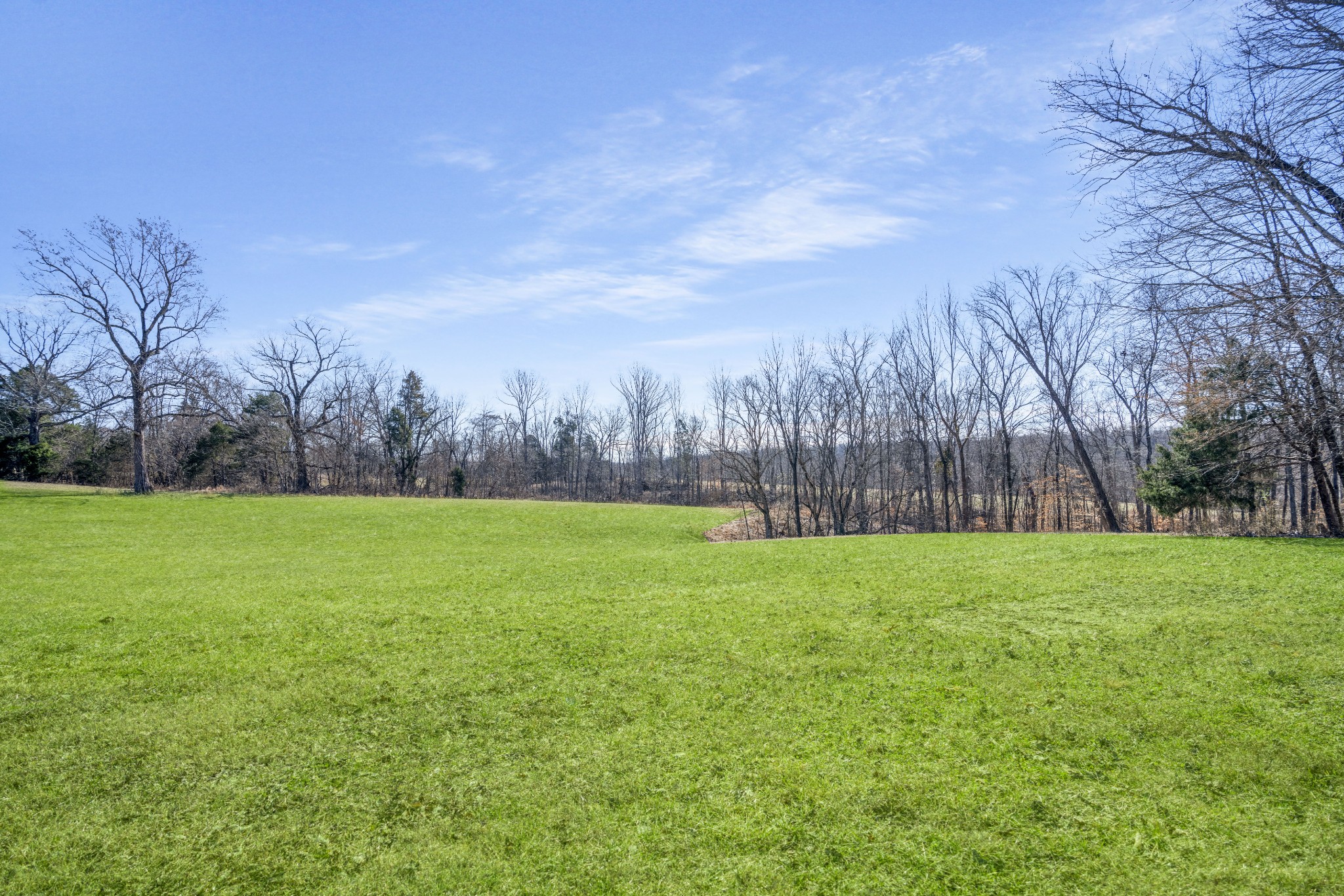 1212 Ussery Rd, S Property Photo 7