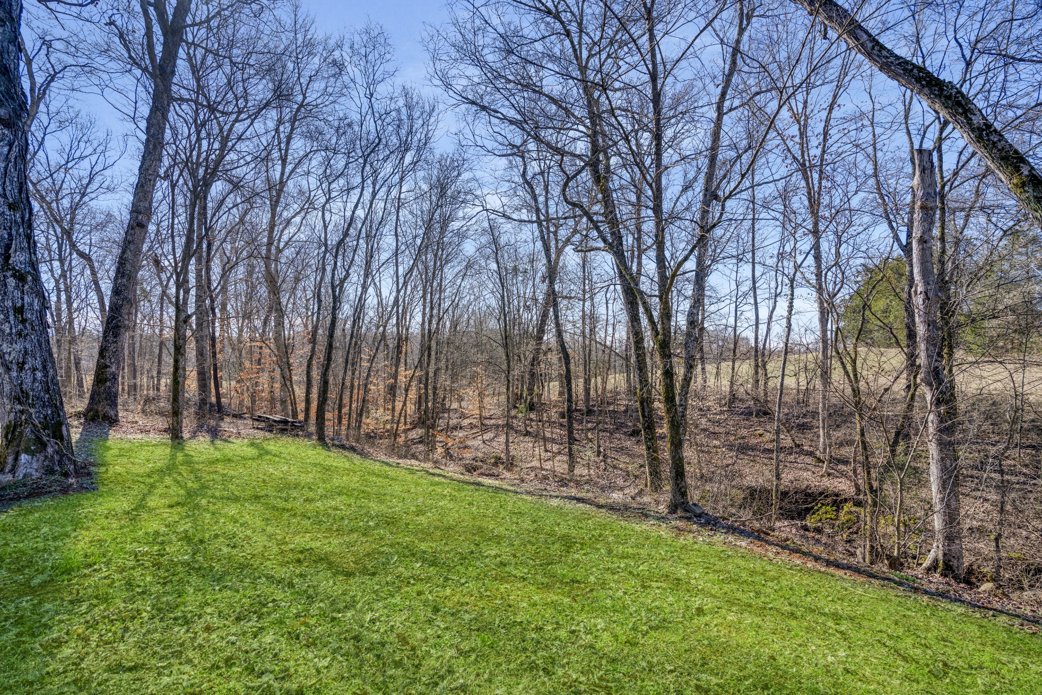 1212 Ussery Rd, S Property Photo 8