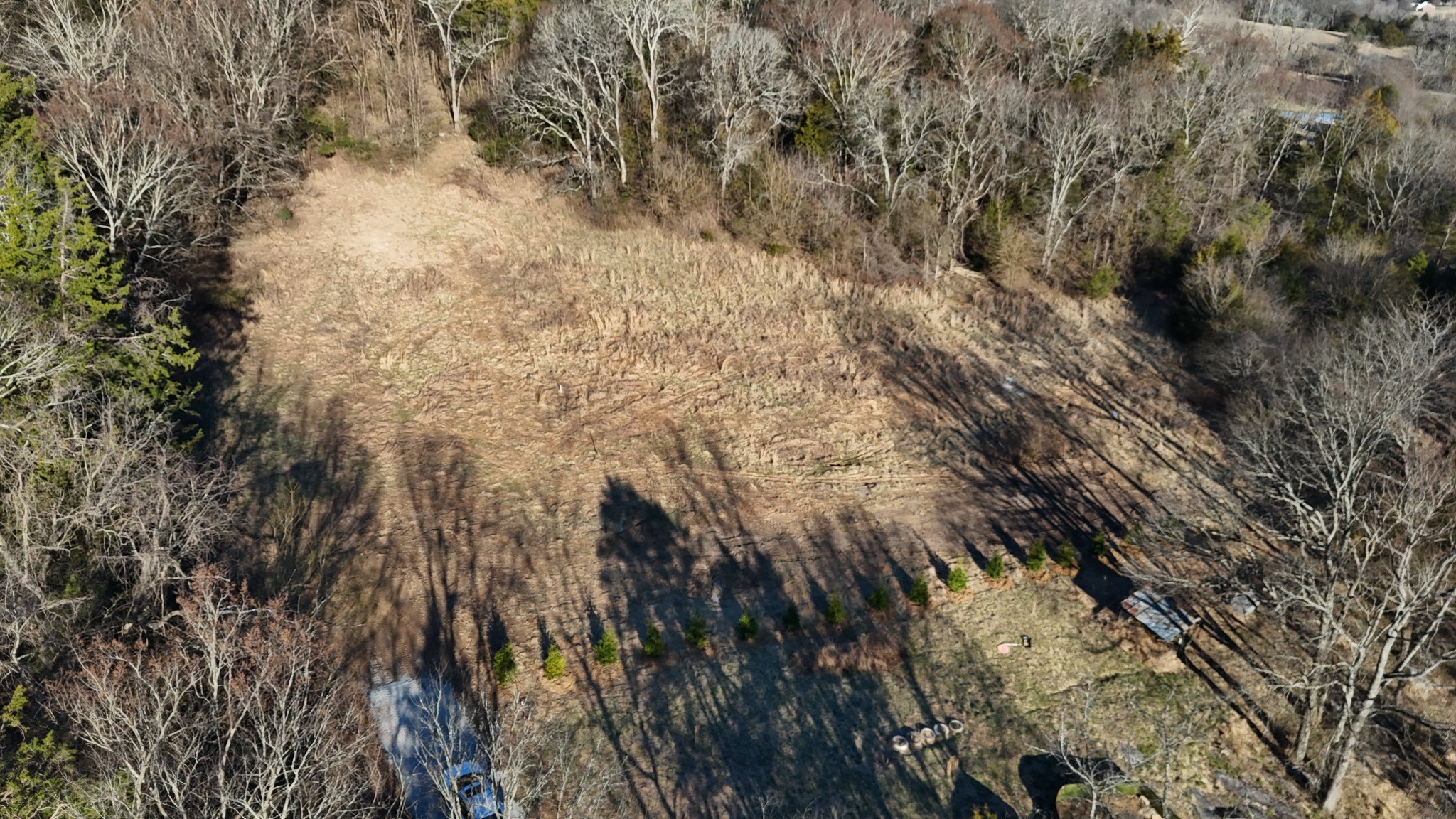 1190 Patton Hollow Rd Property Photo 5