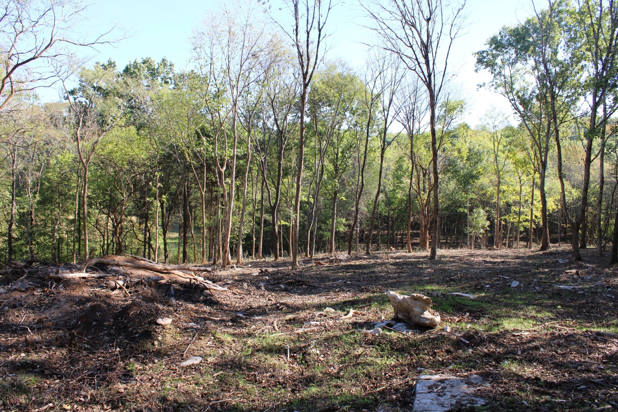0 Smithson Rd Property Photo 4