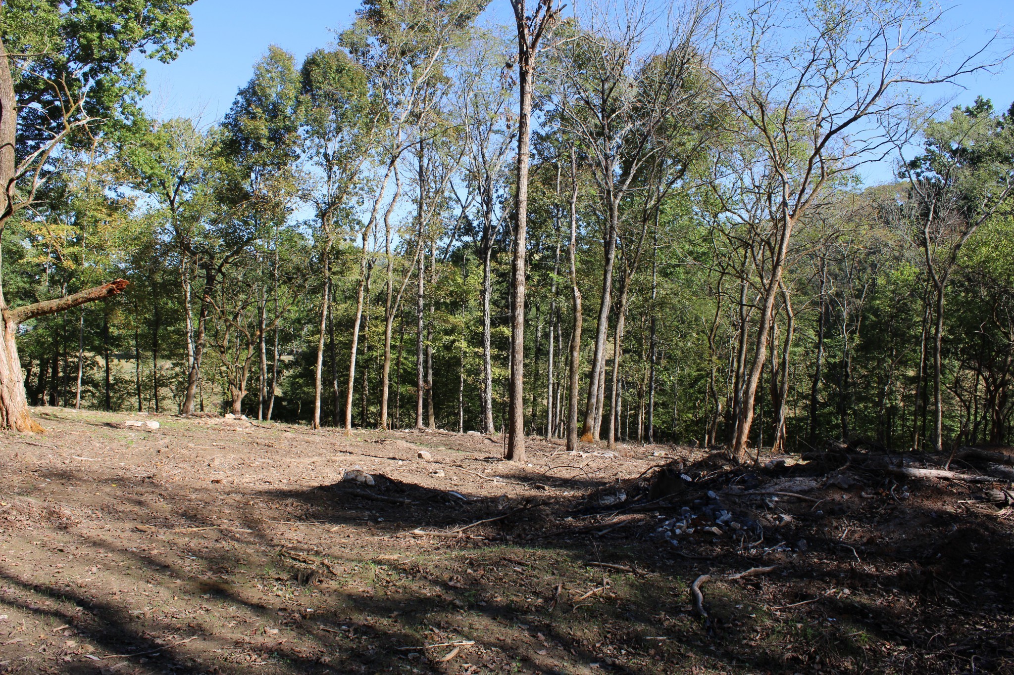0 Smithson Rd Property Photo 5