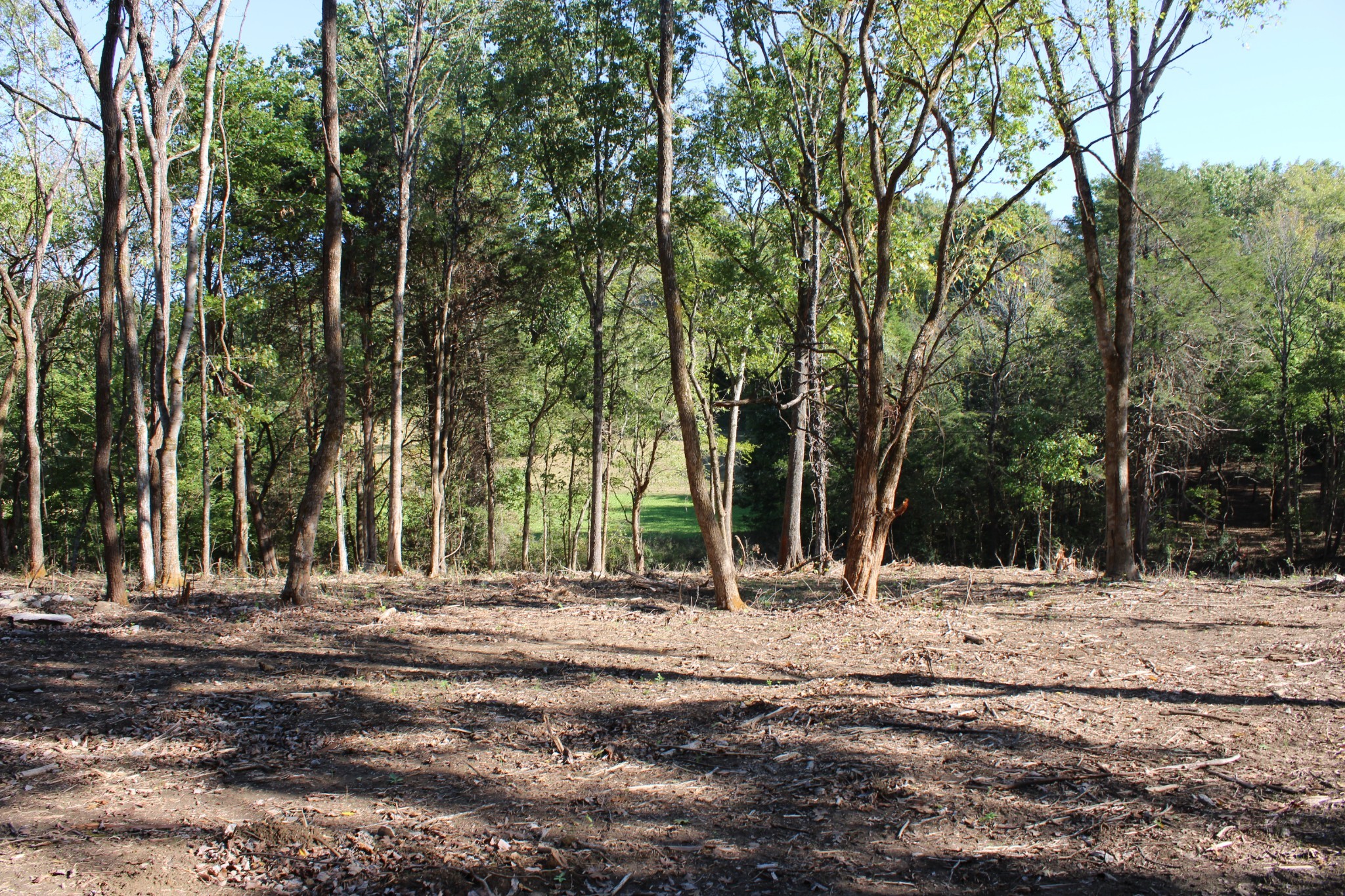 0 Smithson Rd Property Photo 6