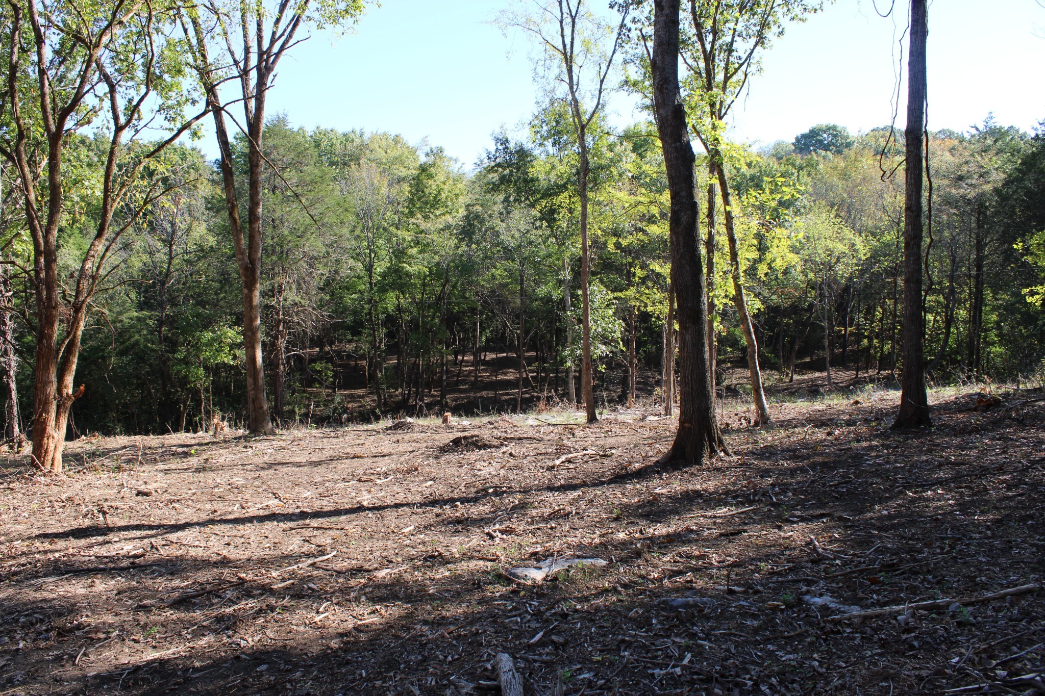 0 Smithson Rd Property Photo 7