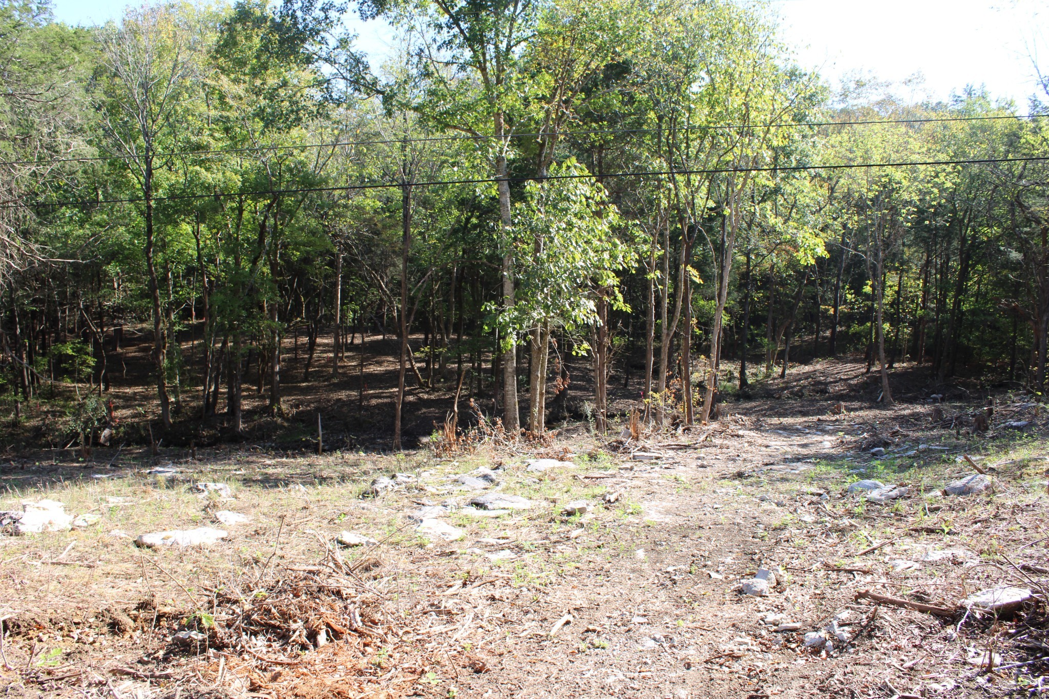 0 Smithson Rd Property Photo 9
