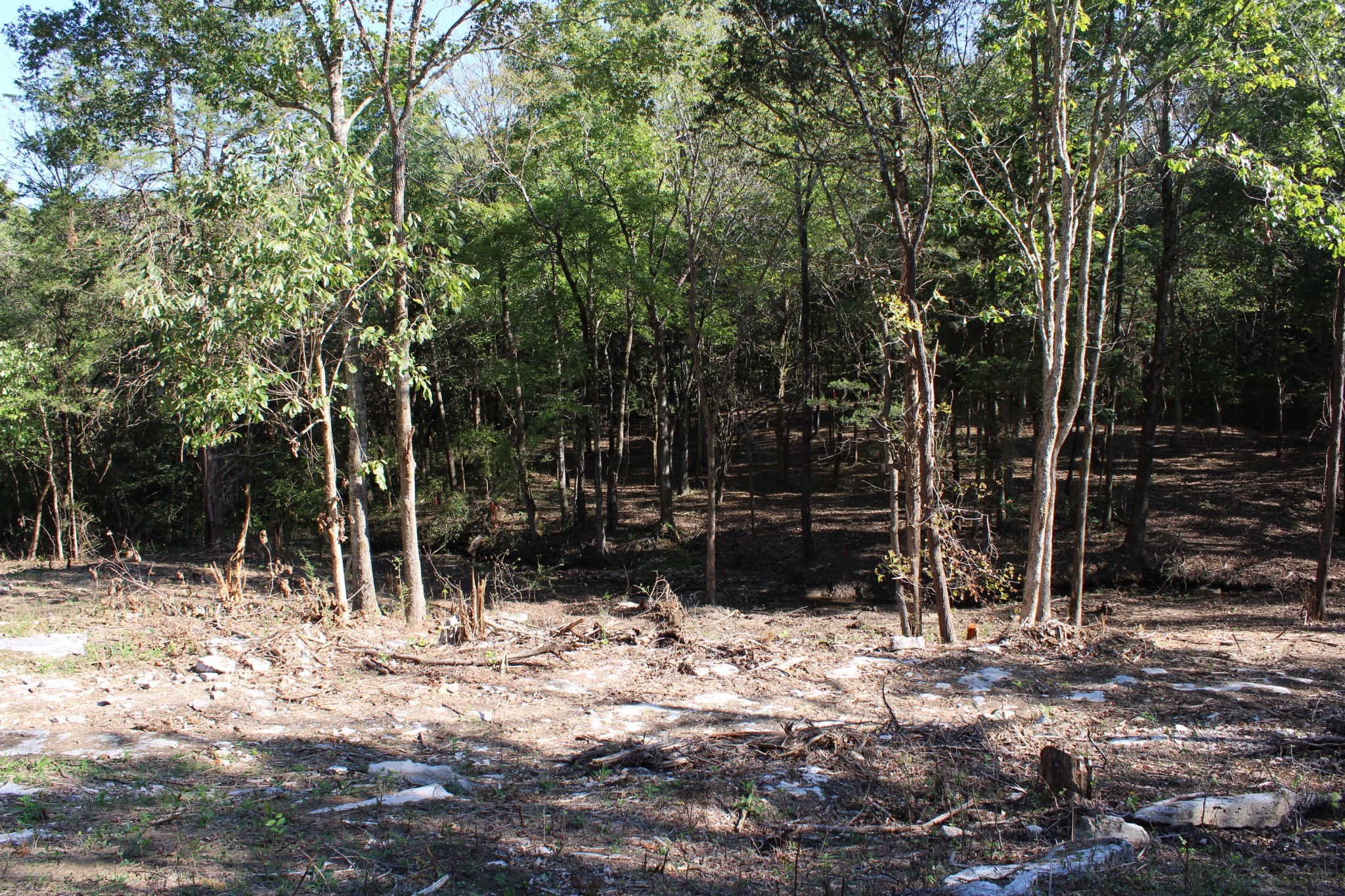 0 Smithson Rd Property Photo 11