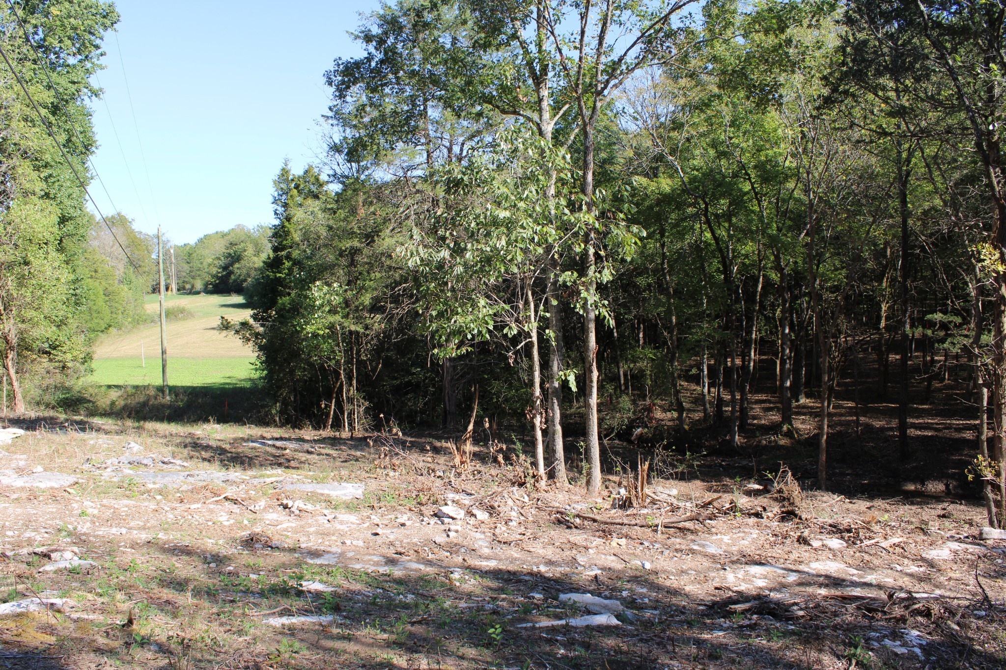 0 Smithson Rd Property Photo 12