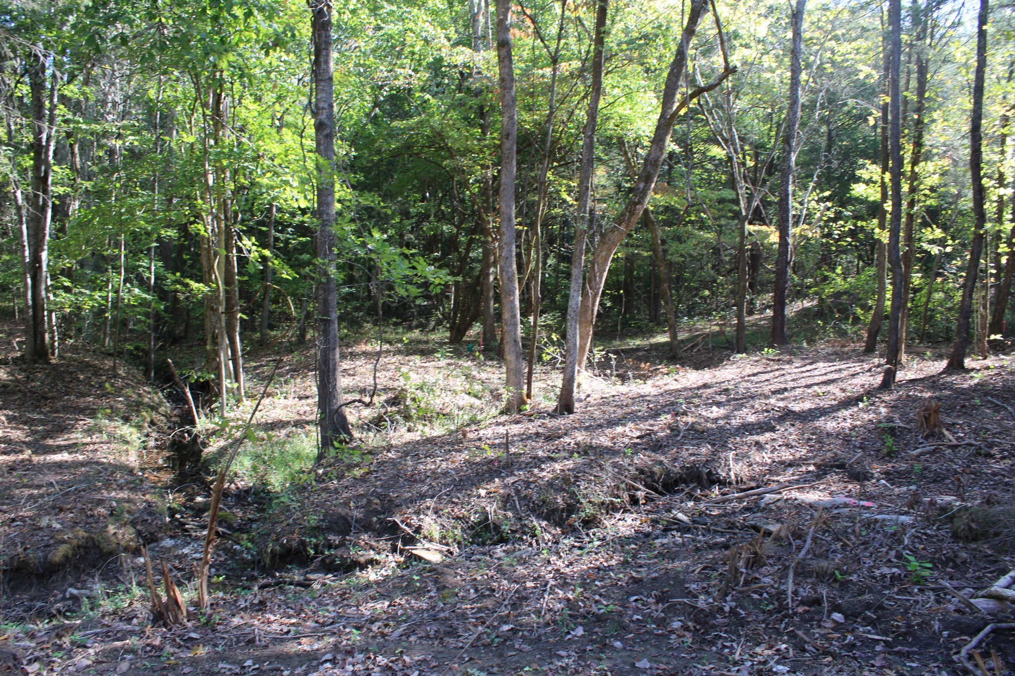 0 Smithson Rd Property Photo 13