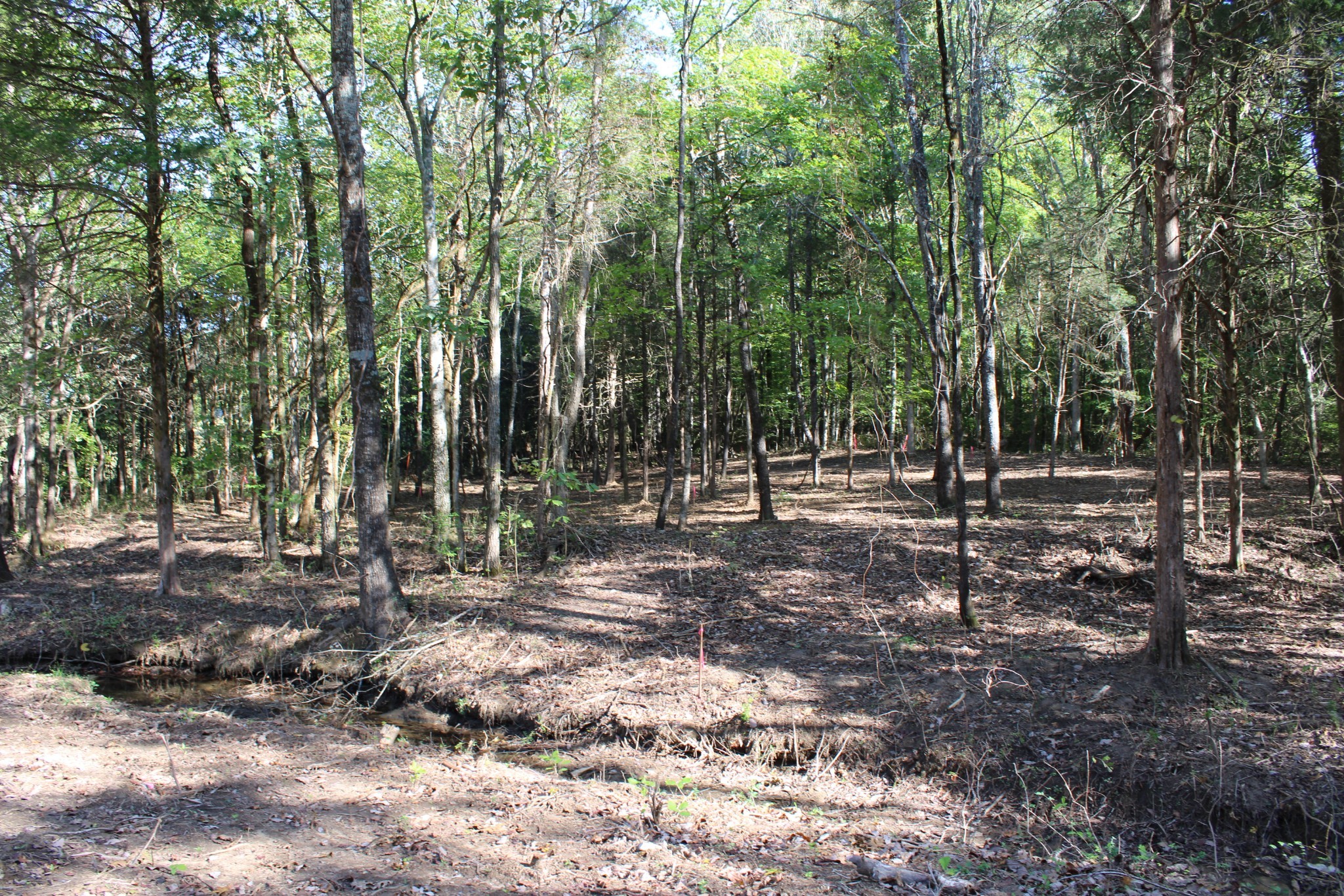 0 Smithson Rd Property Photo 14