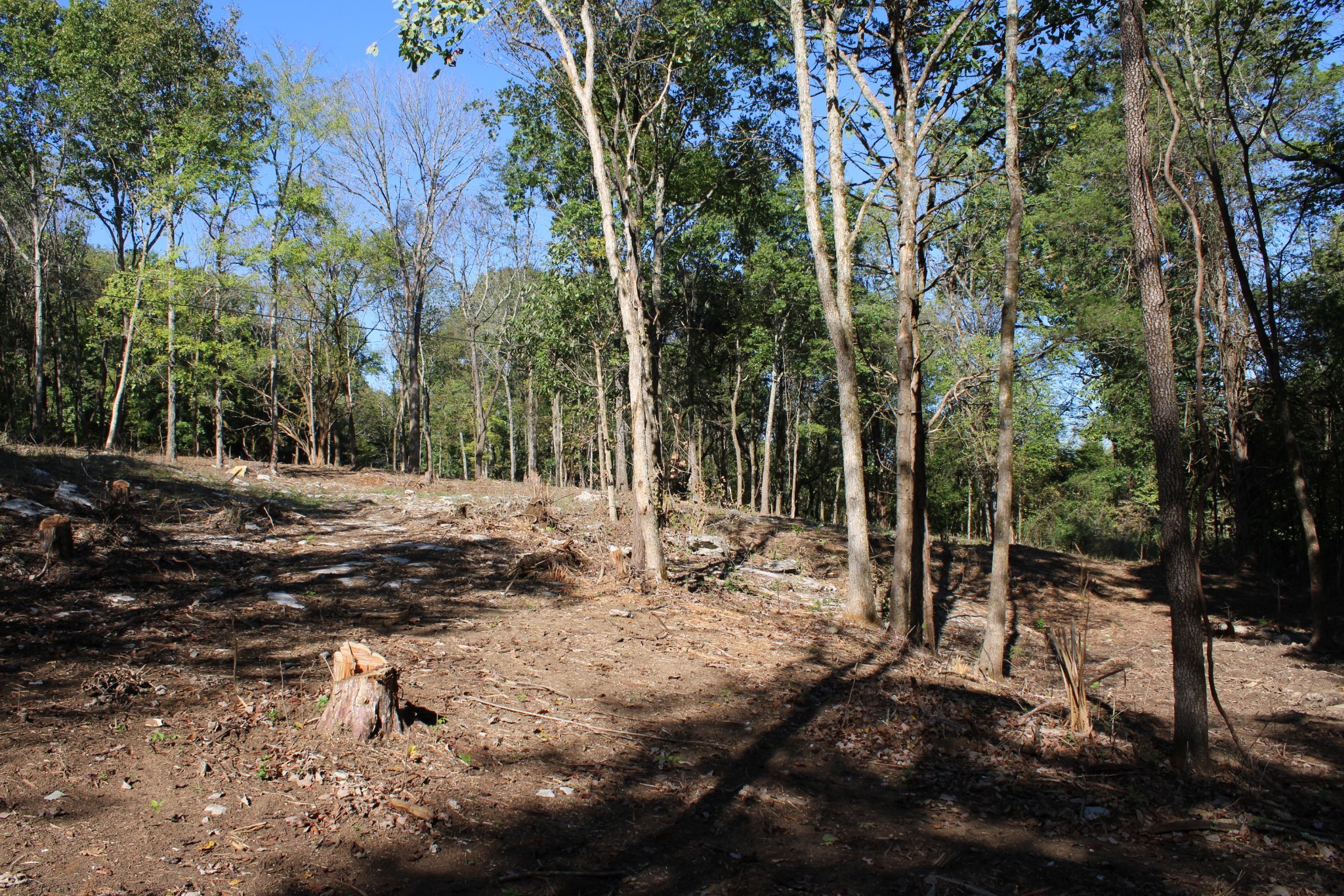 0 Smithson Rd Property Photo 15