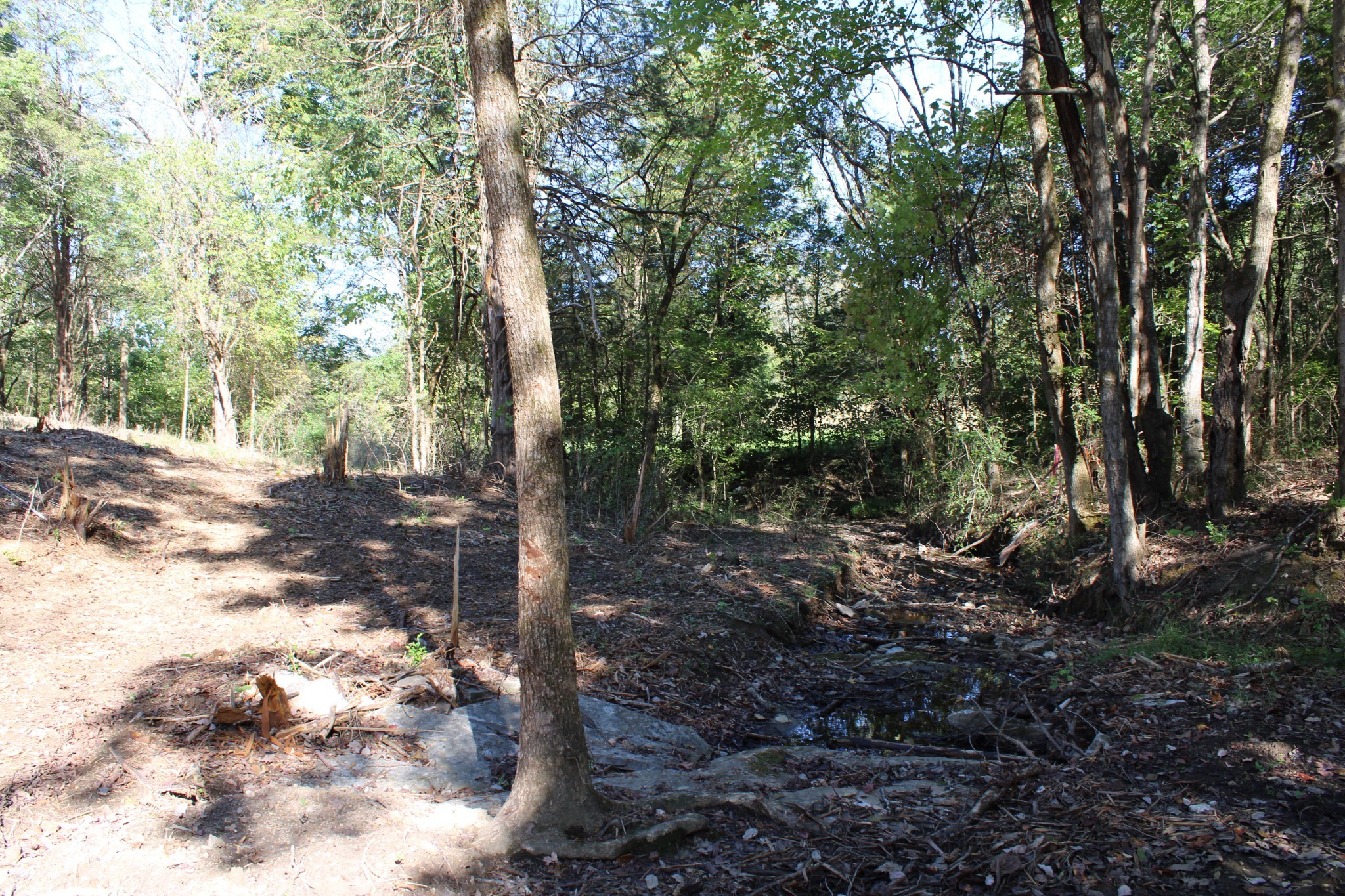 0 Smithson Rd Property Photo 18