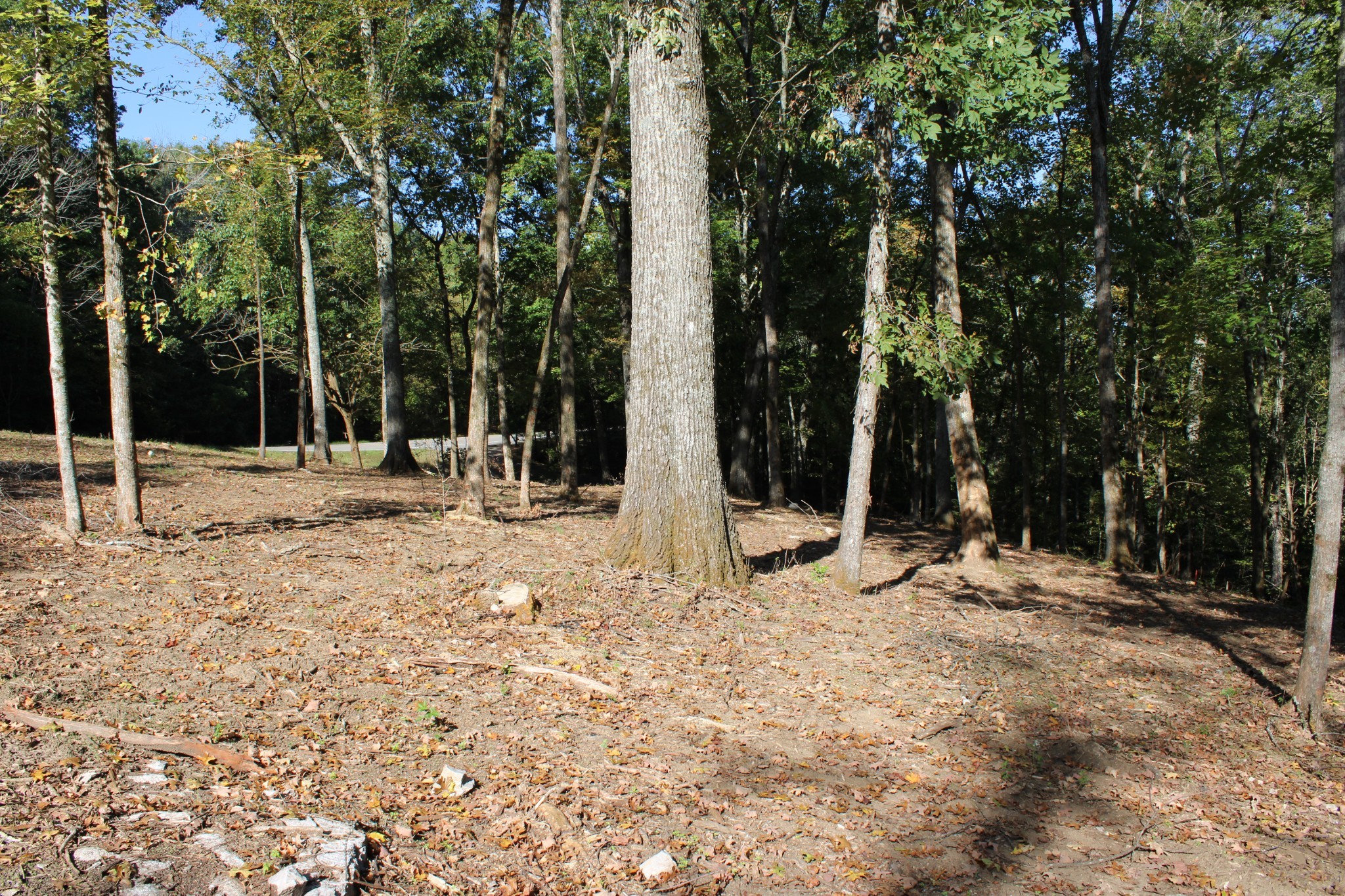 0 Smithson Rd Property Photo 24