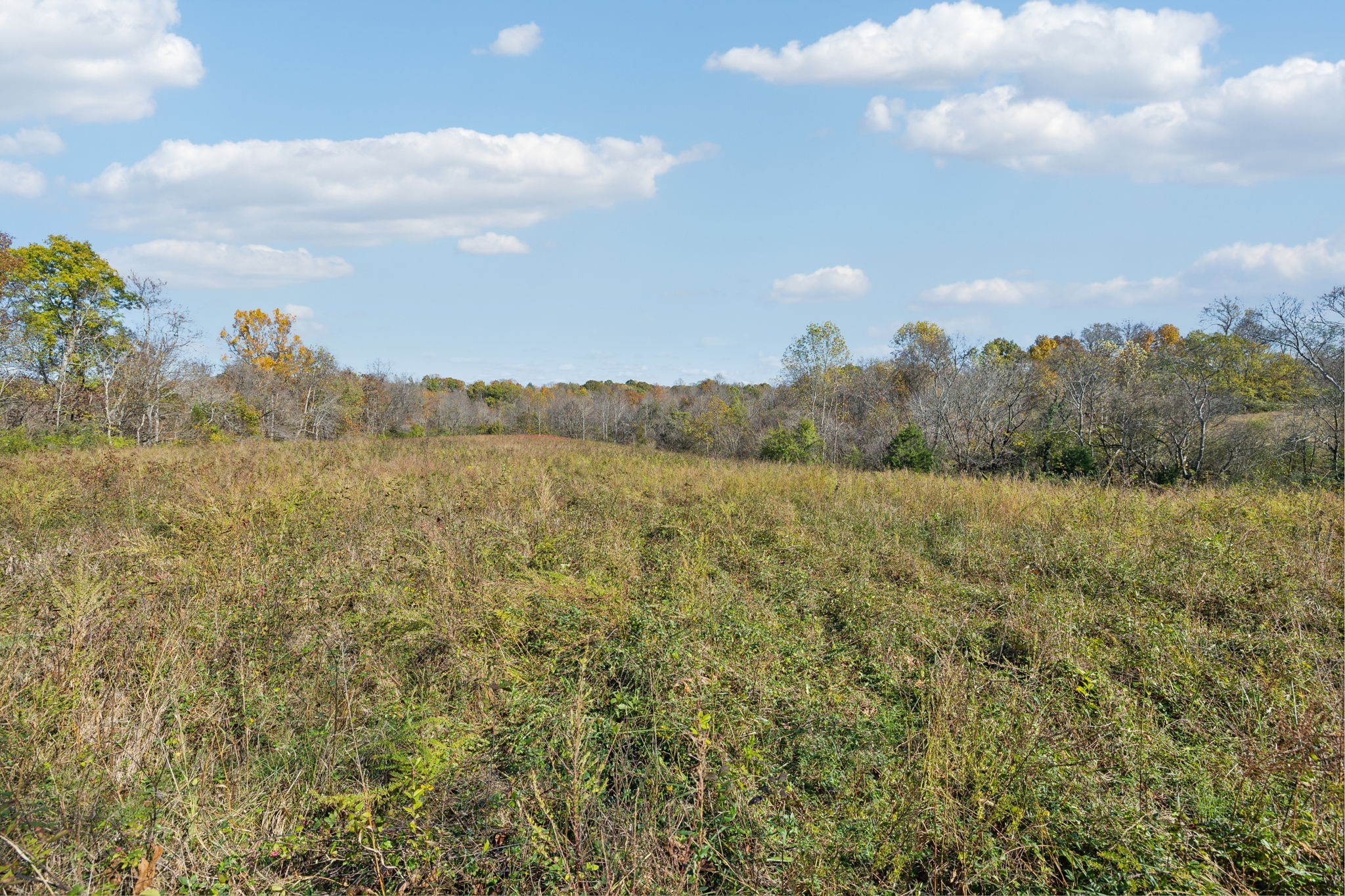 4094 Akin Ridge Property Photo