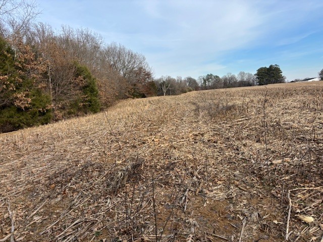 3884 State Route 131 Property Photo 2
