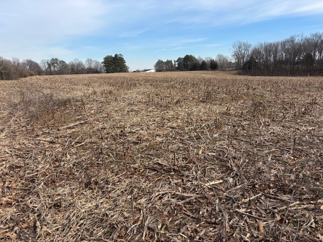 3884 State Route 131 Property Photo 3