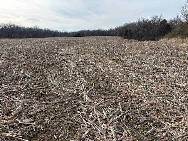 3884 State Route 131 Property Photo 4