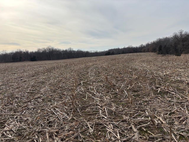 3884 State Route 131 Property Photo 6