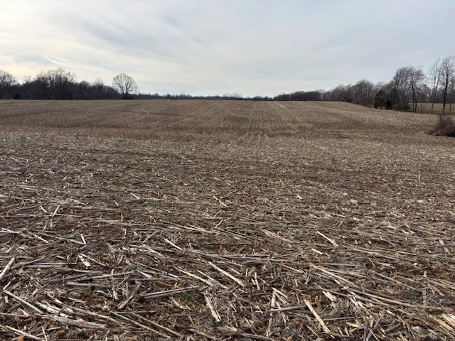 3884 State Route 131 Property Photo 7