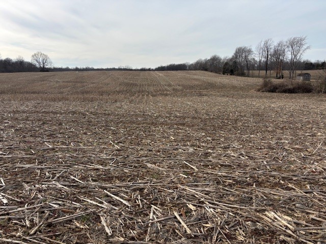 3884 State Route 131 Property Photo 8