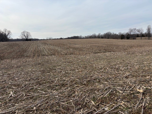 3884 State Route 131 Property Photo 10
