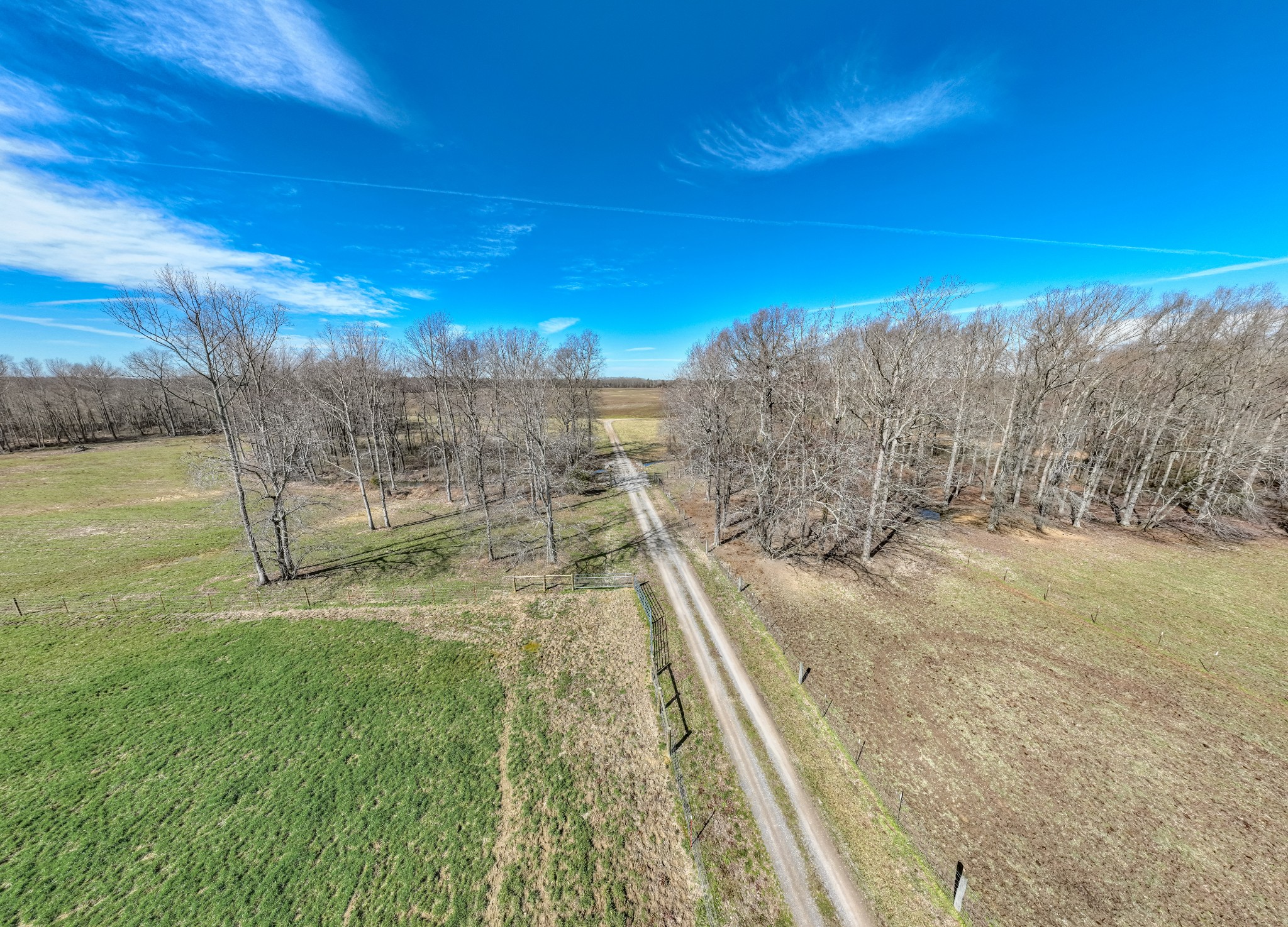 8141 Woodbury Hwy Property Photo 40