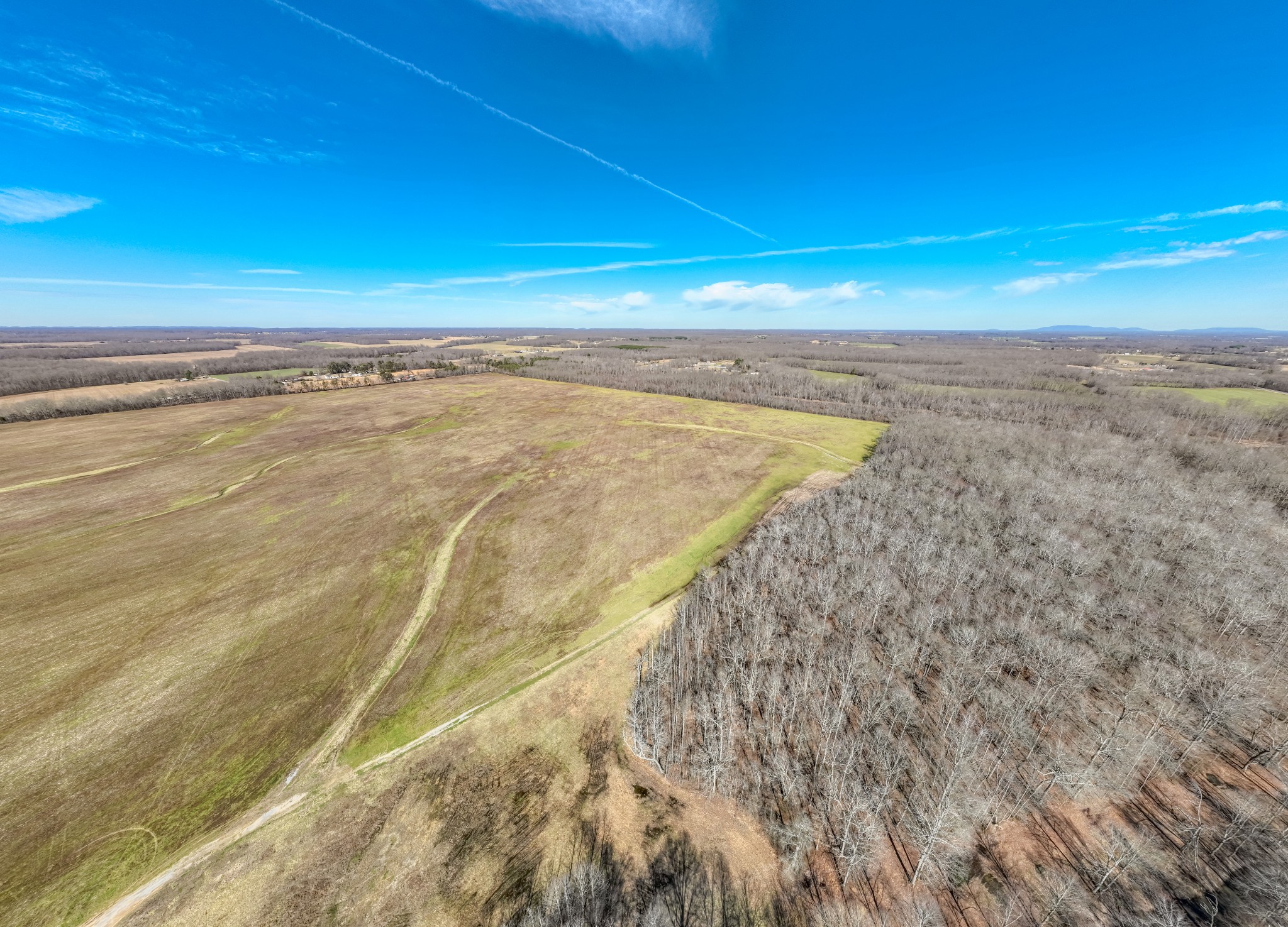 8141 Woodbury Hwy Property Photo 76