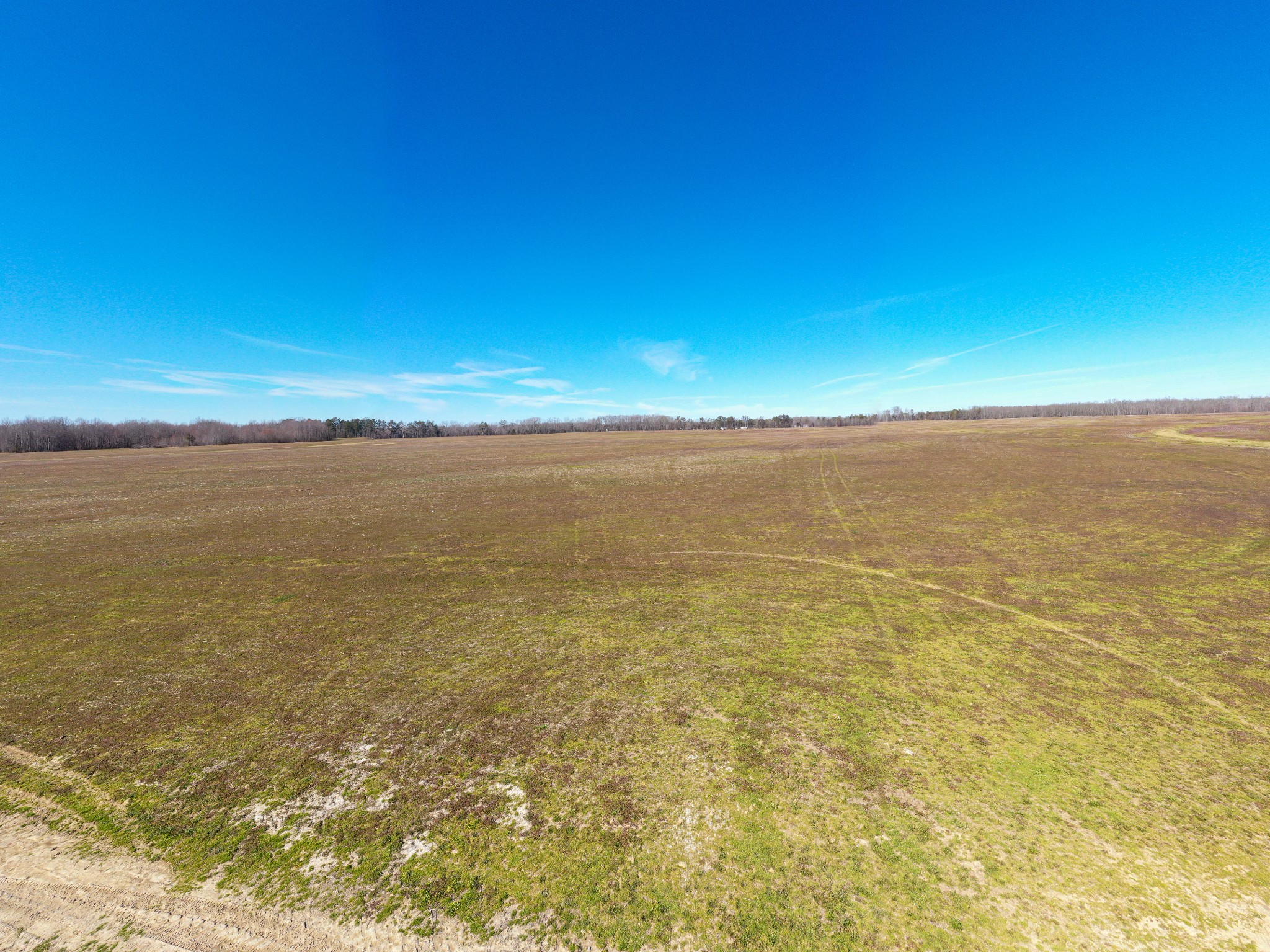 8141 Woodbury Hwy Property Photo 82