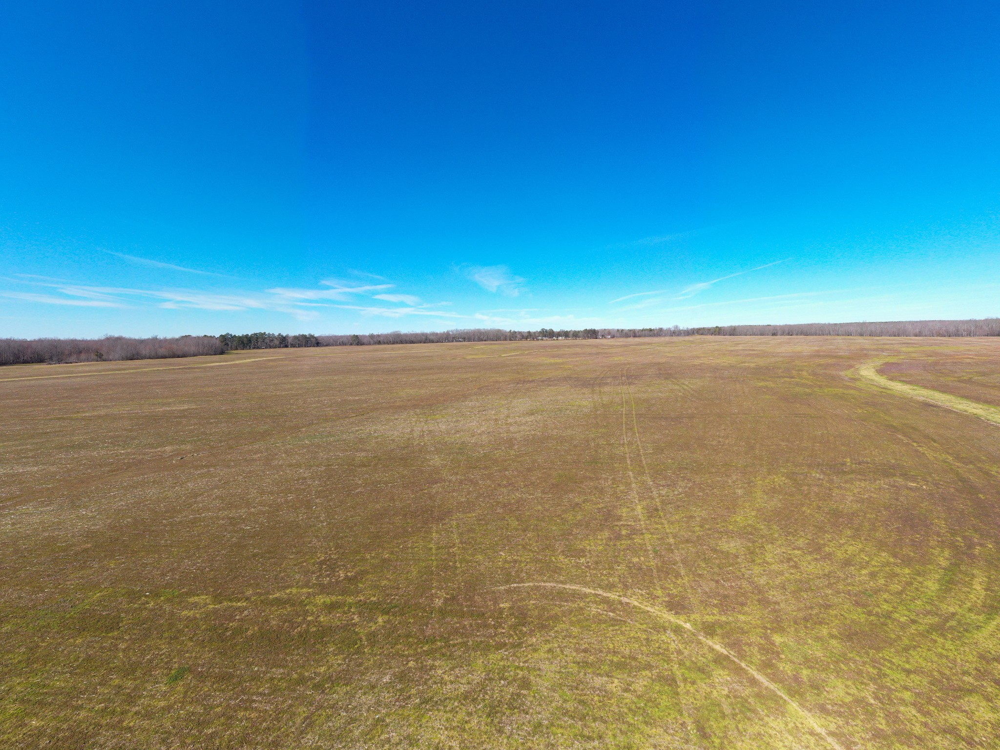 8141 Woodbury Hwy Property Photo 83