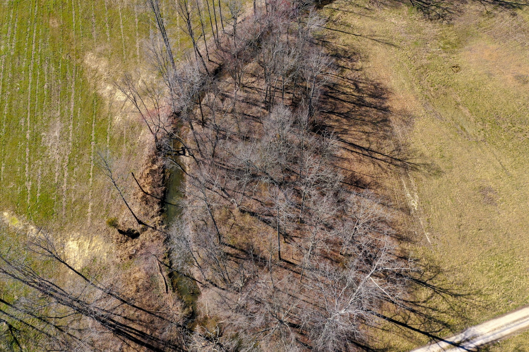 8141 Woodbury Hwy Property Photo 88