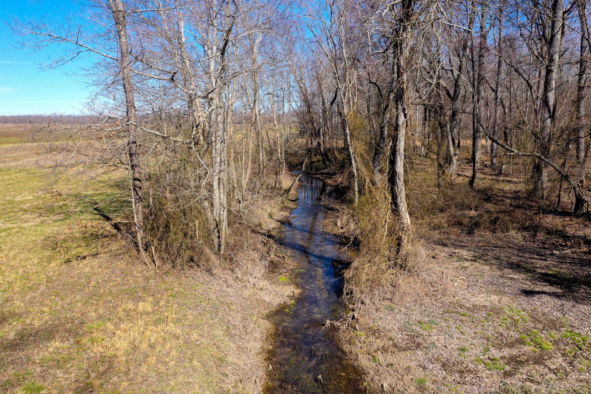 8141 Woodbury Hwy Property Photo 90