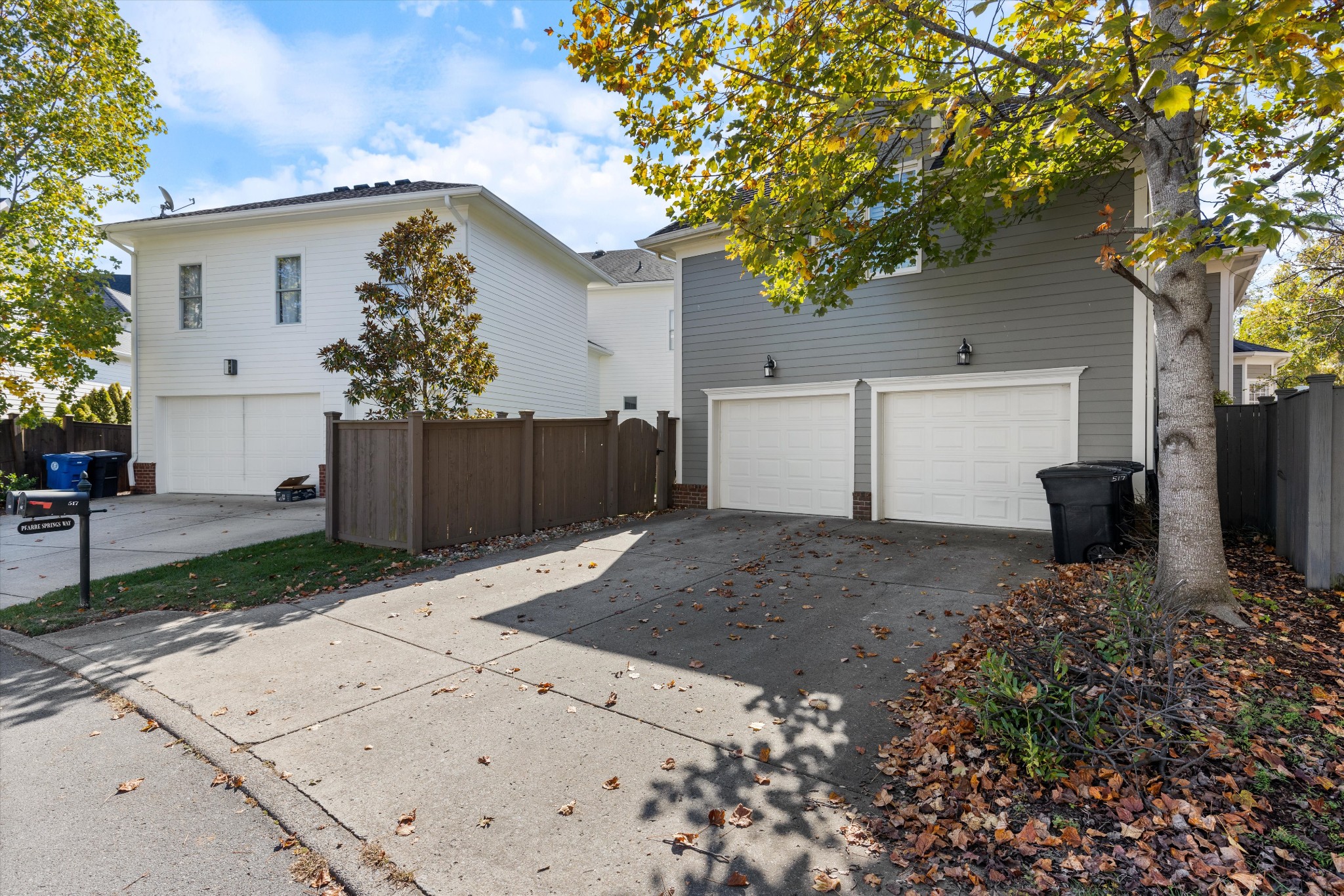 517 Pearre Springs Way Property Photo 66