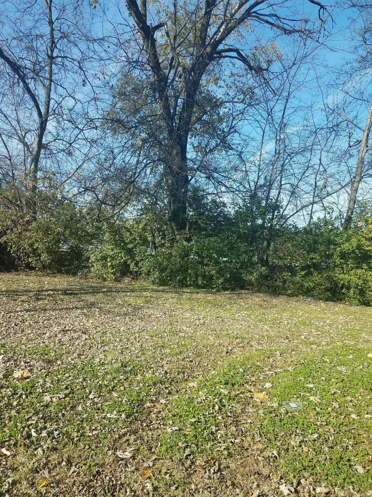 1817 7th Ave Property Photo 1