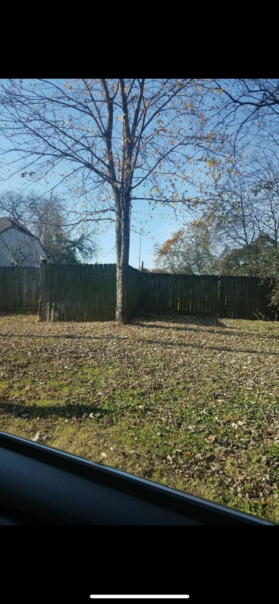 1817 7th Ave Property Photo 3