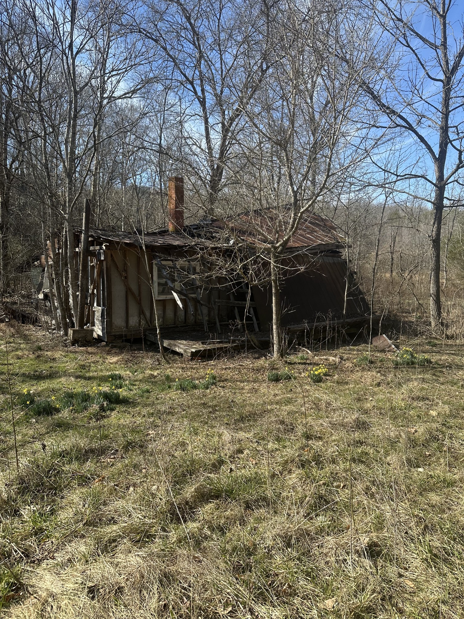 0 Buck Branch Rd Property Photo