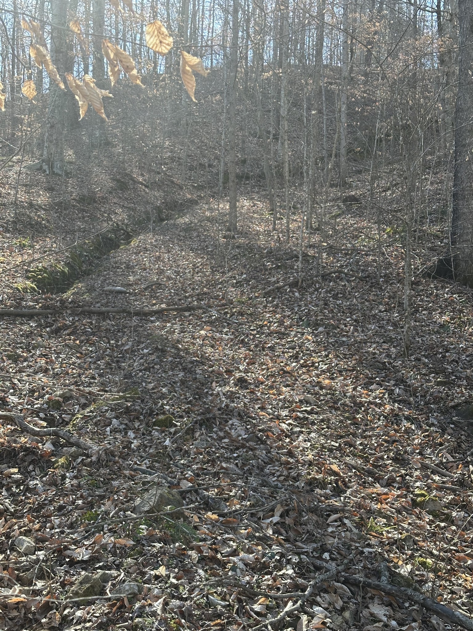 0 Buck Branch Rd Property Photo