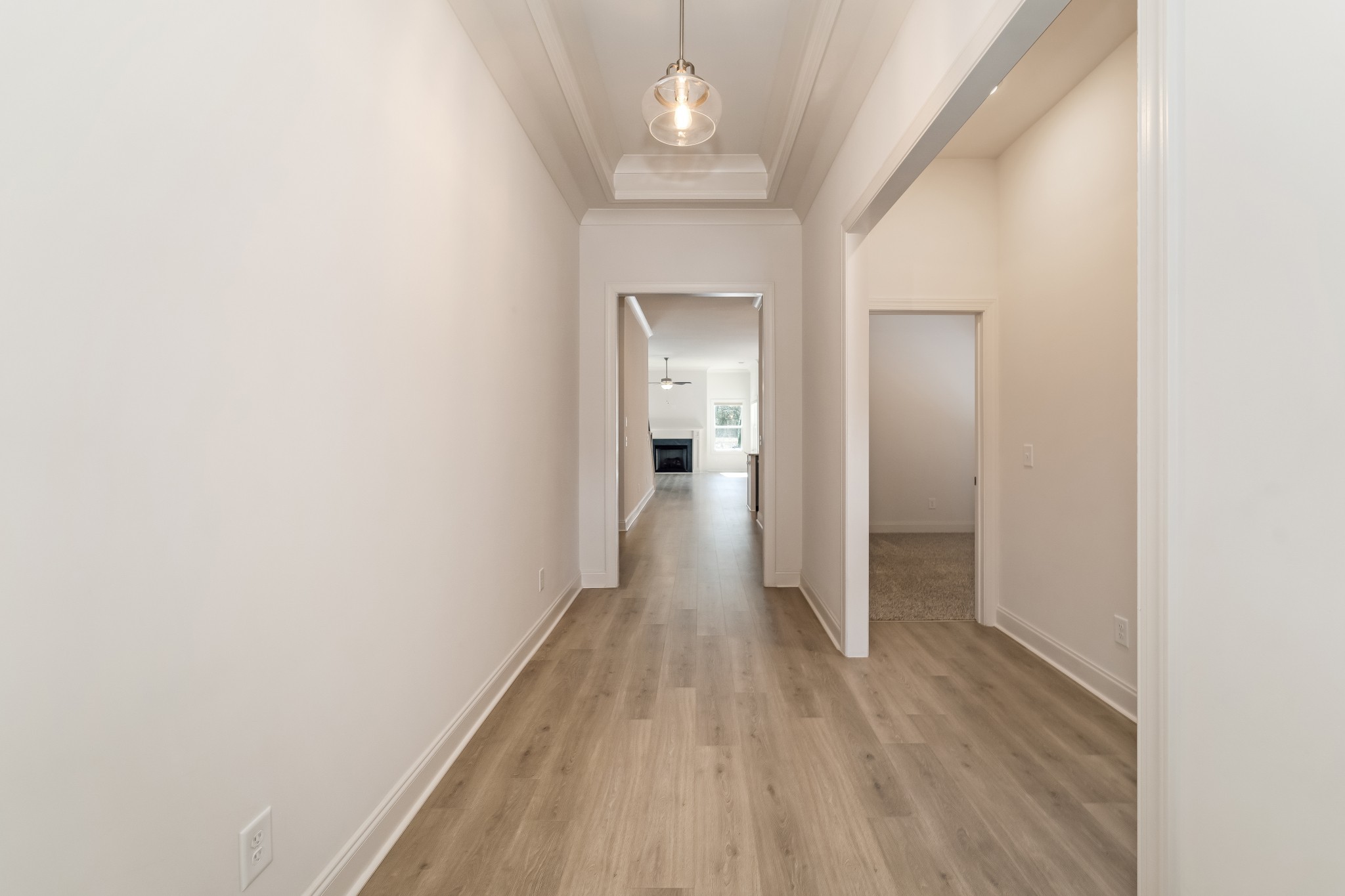 3635 Jacaranda Ln Property Photo 6