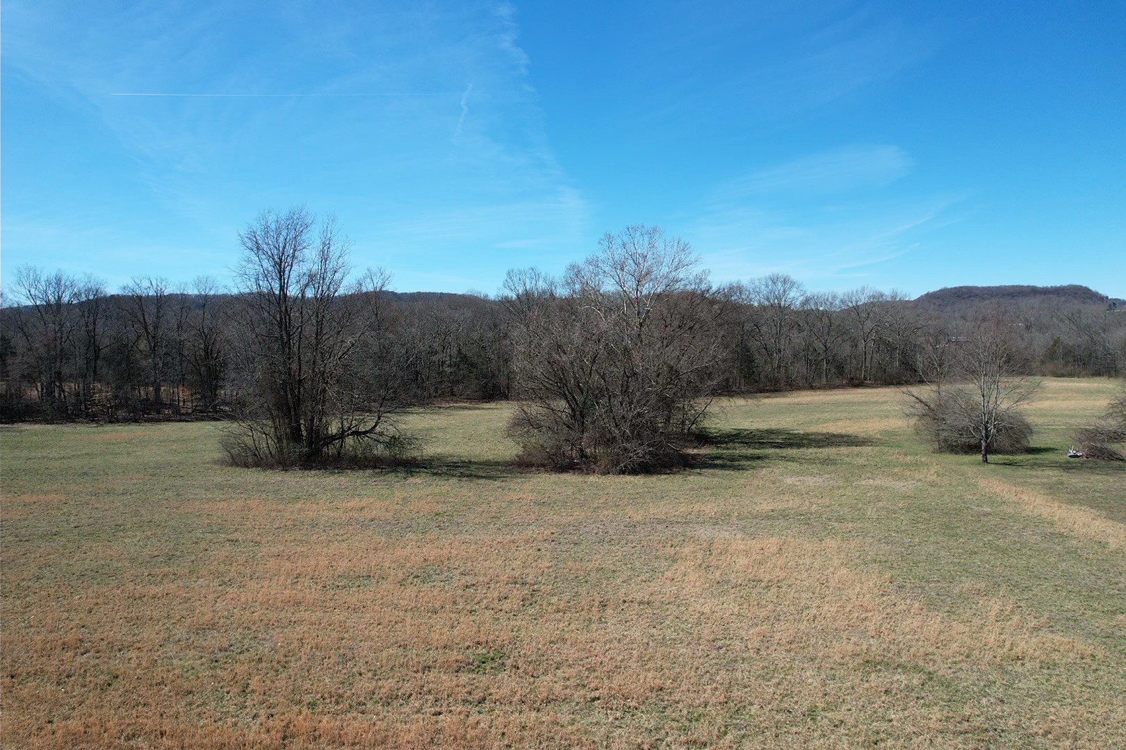 6631 Cool Springs Rd Property Photo 7