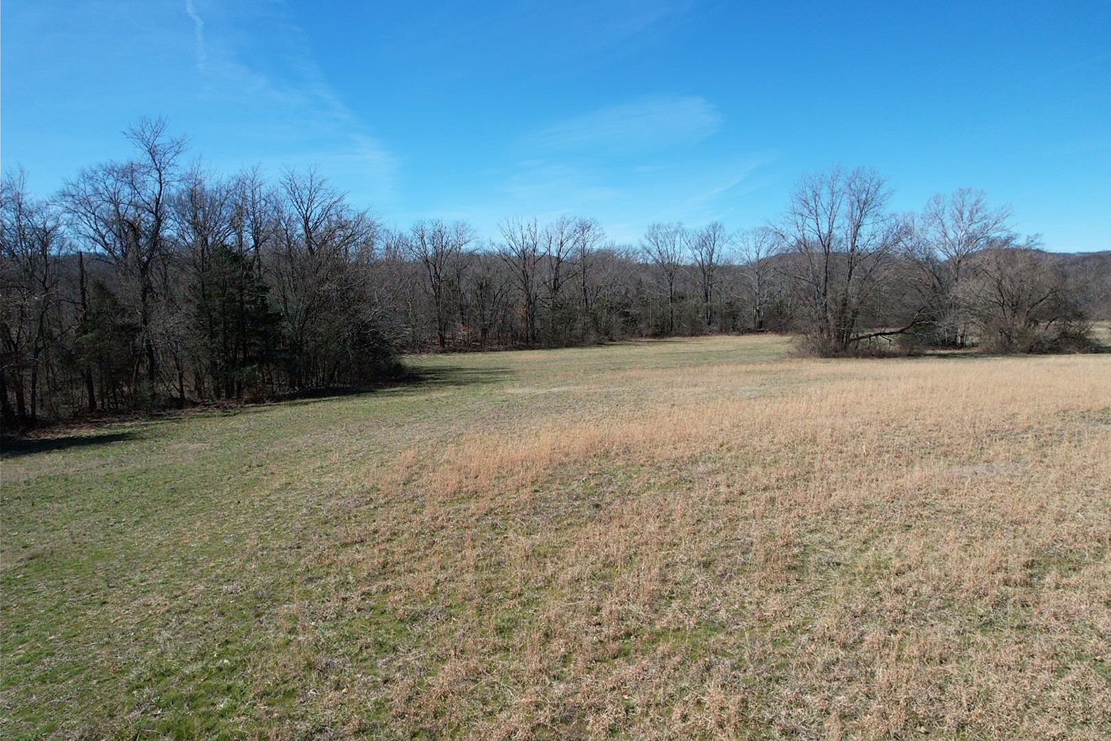 6631 Cool Springs Rd Property Photo 15