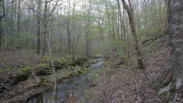 0 Waynoe Road Property Photo 8