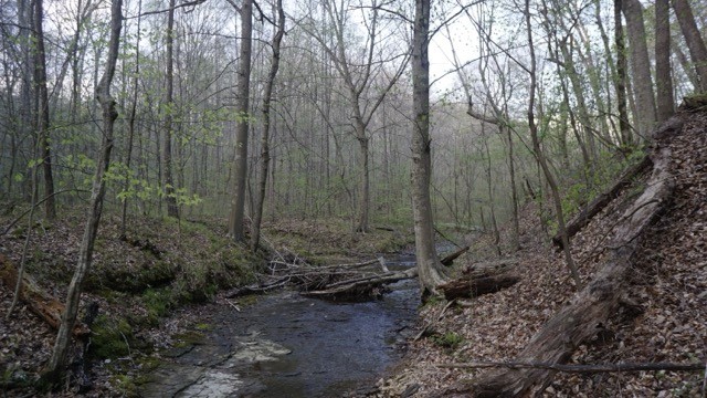 0 Waynoe Road Property Photo 11