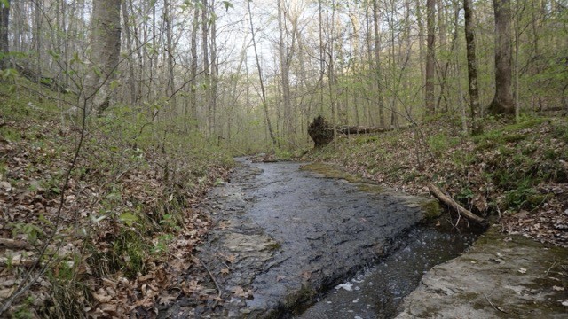 0 Waynoe Road Property Photo 13