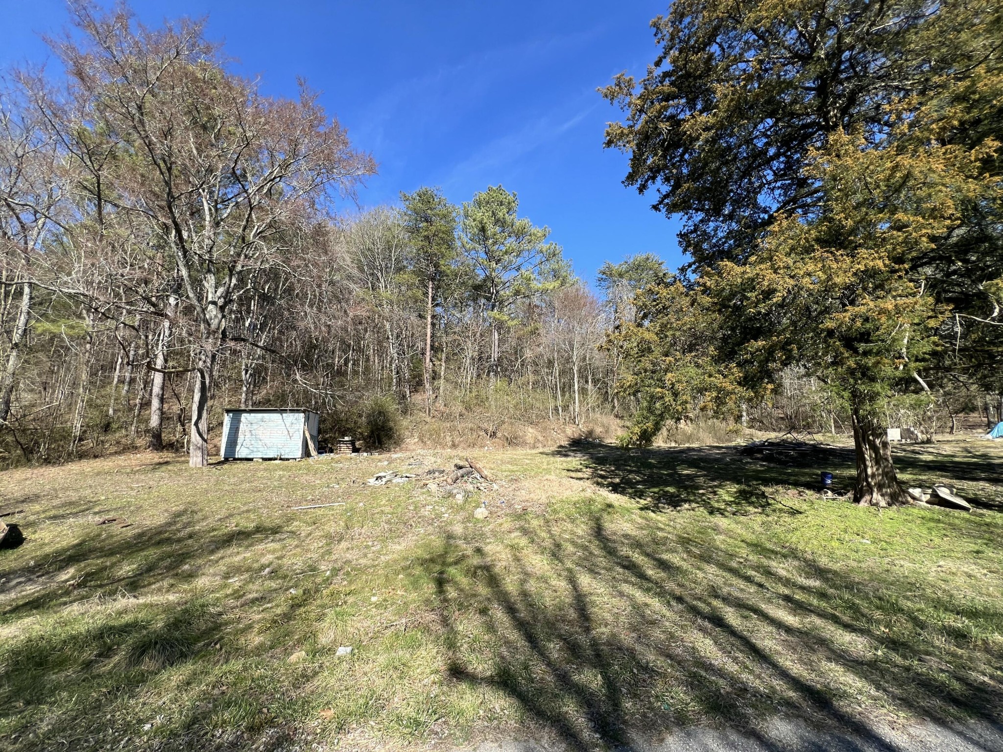 1779 Texas Grove Road Property Photo 5