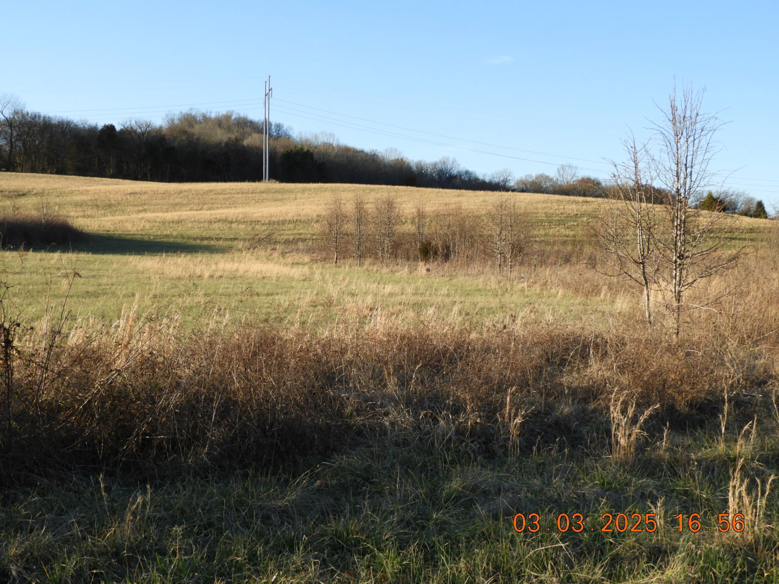 0 Pulaski Hwy Property Photo