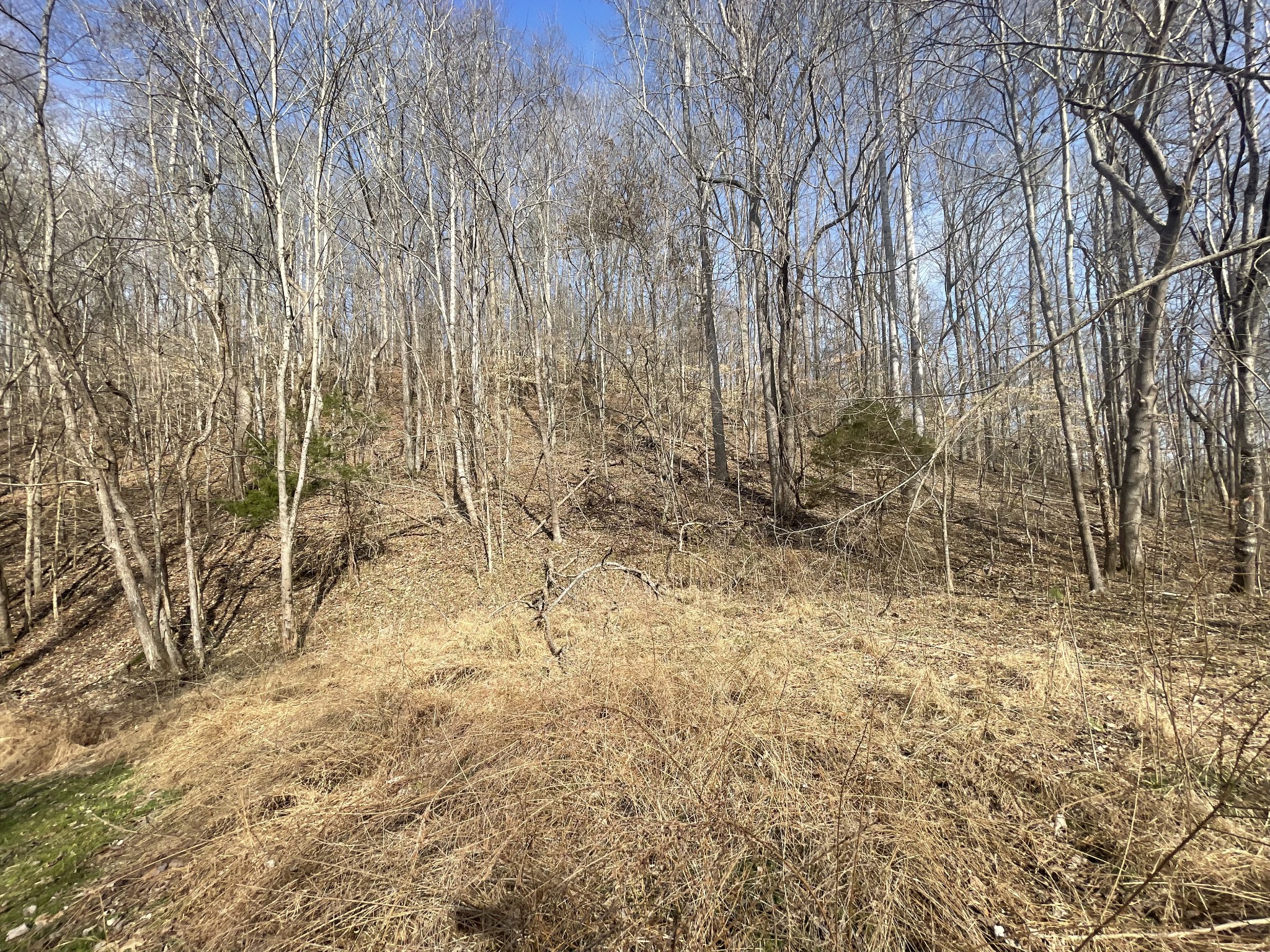 8001 Highway 50 Property Photo 30